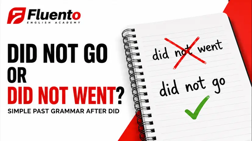 Did Not Go or Did Not Went? Simple Past Grammar After Did article image