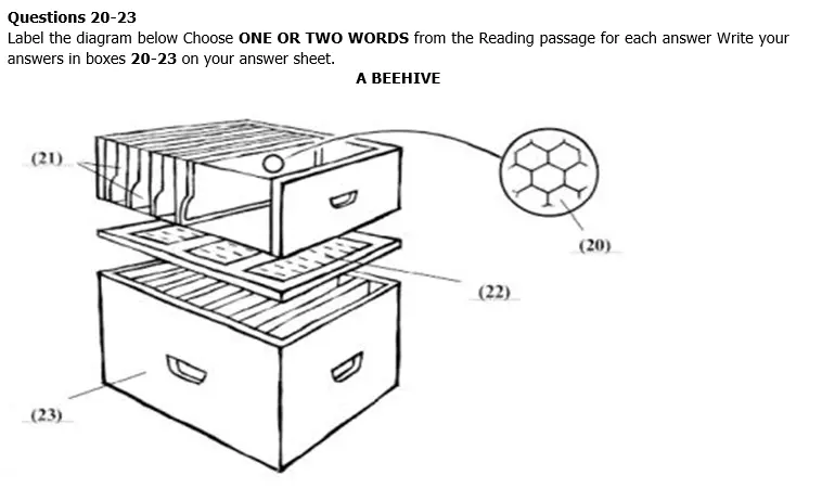 IELTS Reading Test 32 diagram