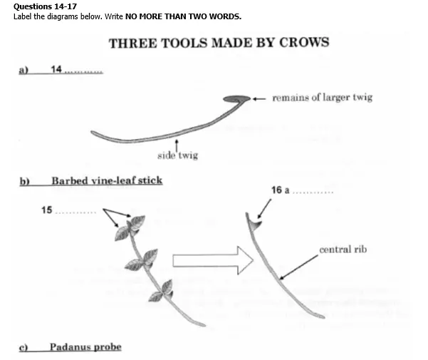 IELTS Reading Test 71 diagram