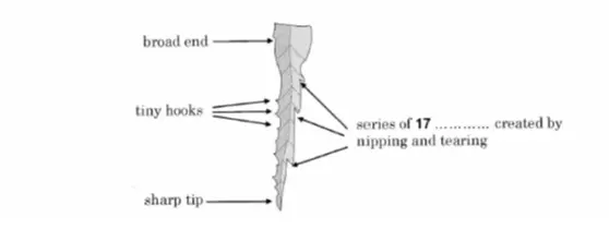 IELTS Reading Test 71 diagram