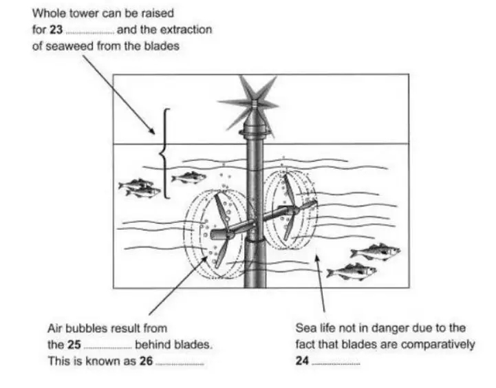 IELTS Reading Test 1 diagram