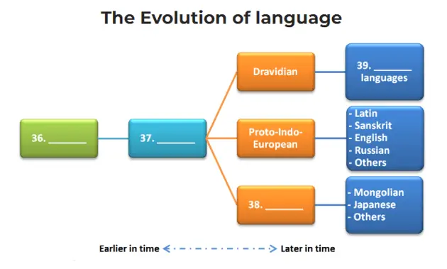 IELTS Reading Test 171 diagram