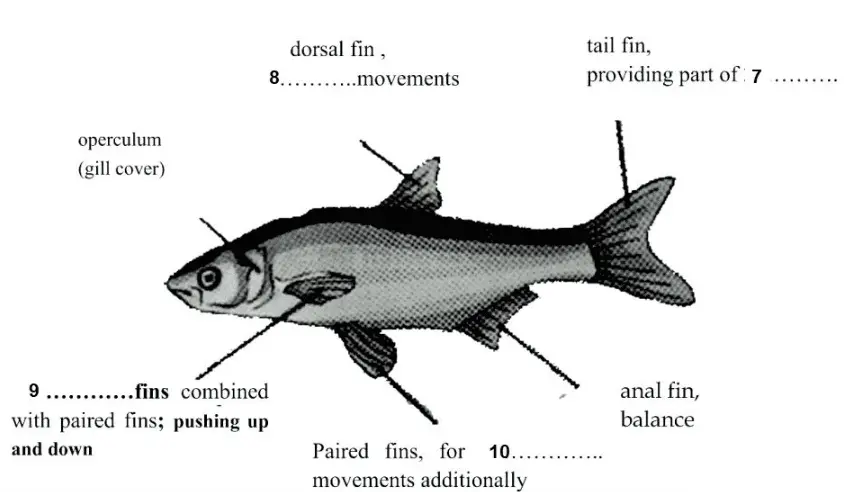 IELTS Reading Test 282 diagram