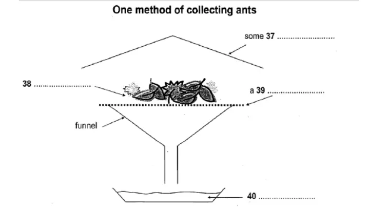IELTS Reading Test 4 diagram