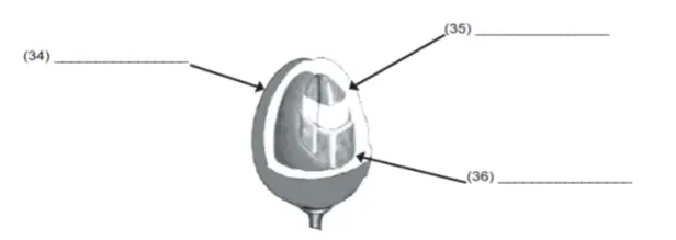 IELTS Reading Test 49 diagram